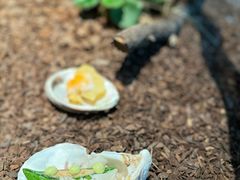 -曲廊院(东四十一条店)