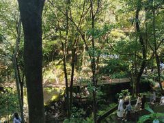 -灵顺寺
