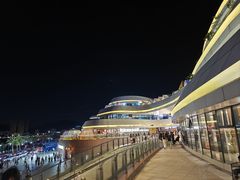 -野狸岛