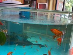 -辣得叫湘菜(四明店)