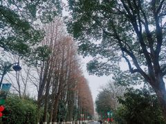 -西溪国家湿地公园