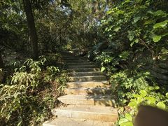 -燕晗山郊野公园
