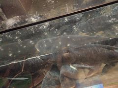 -上名堂·鱼头好吃(体育场路店)