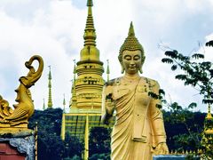 -西双版纳勐泐文化旅游区