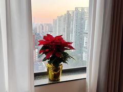 -沐森 •疗愈头疗馆(打浦桥店)