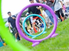 -趣玩宠物乐园寄养训犬训狗游泳池