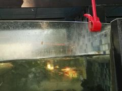 android_upload_pic-森谷美食公园(杨行店)