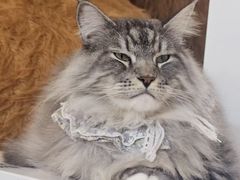 -天虹购物中心(深圳龙华店)