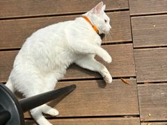 -春阳水饺(香槟广场店)