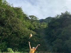 -梦幻奥陶纪景区