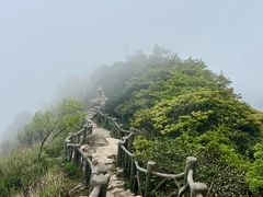 -梧桐山风景名胜区