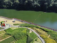 -广州市石门国家森林公园