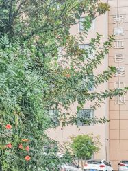 -弗蕾亚·和月月子调理院(东湖店)