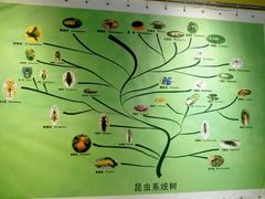 -上海昆虫博物馆