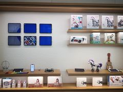 -Apple零售店(玄武湖店)