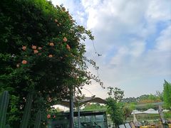 -白鹭湾湿地公园