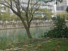 -成都市活水公园