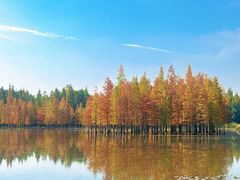 -白鹭湾湿地公园