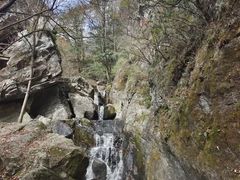 -牛背梁国家森林公园
