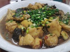 -全乐鱼馆·淳牌有机鱼直营店