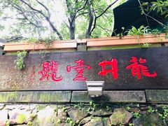 门面-龙井壹号·茶缘山景宴(龙井村店)