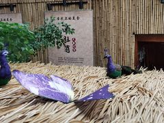 -大理董·董家小厨野生菌火锅(古城旗舰店)