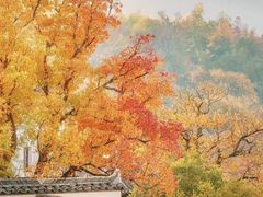 -塔川景区
