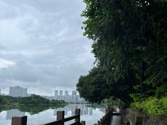 -南宁南湖公园
