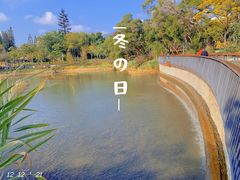 -四海公园(南山区)