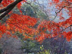 -九曜山