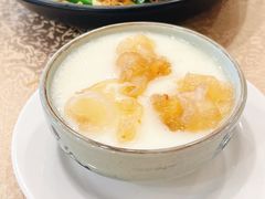 花胶炖水牛奶-麒麟中餐厅·经典粤菜·地道菜式老字号(广州长隆酒店)