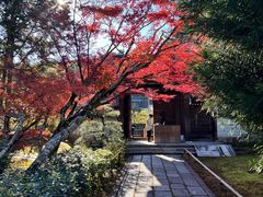-西芳寺(苔寺)
