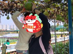 -新地休闲农场