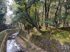 -西芳寺(苔寺)