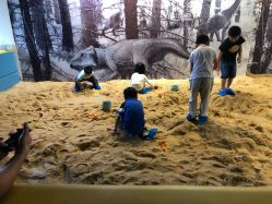 -恐龙探索乐园(磁器口店)