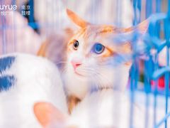 -吾悦广场(南京鼓楼店)