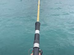 -小猫钓鱼海钓俱乐部(椰梦长廊店)