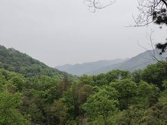 -波尔登森林公园
