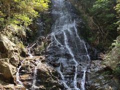 -江西阳明山国家森林公园