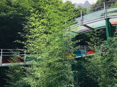 -十渡东湖港风景区