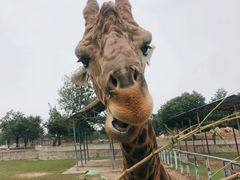 -西安秦岭野生动物园