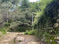 -大岭沟猕猴桃谷风景区