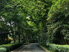 -北极阁公园