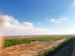 -南汇嘴观海公园