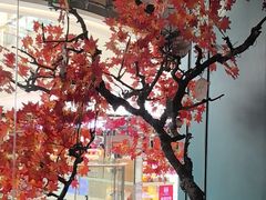 -老屋印象·酸菜鱼新川菜(义乌之心店)