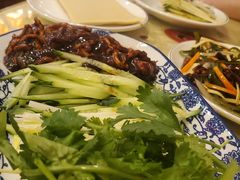 -鹤乡东北菜(崮山路店)