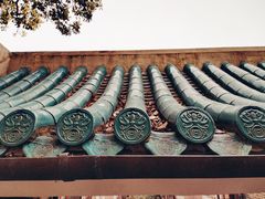 -武汉大学-樱园