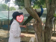 -武汉紫薇都市田园