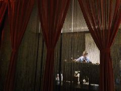 -张博士茗茶馆(外滩店)