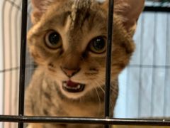 -伽利略剧本探案馆(国贸店)